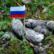 Image for article titled Russia Blocks Shutterstock Website Over Photos of Russian Flag in Dogshit